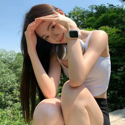 完美的独裁国家